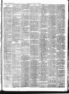 Chepstow Weekly Advertiser Saturday 15 February 1896 Page 3