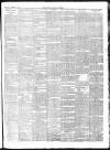 Chepstow Weekly Advertiser Saturday 21 March 1896 Page 3