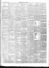 Chepstow Weekly Advertiser Saturday 28 March 1896 Page 3