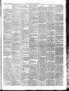 Chepstow Weekly Advertiser Saturday 01 August 1896 Page 3