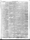 Chepstow Weekly Advertiser Saturday 08 January 1898 Page 3