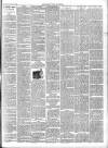 Chepstow Weekly Advertiser Saturday 11 March 1899 Page 3