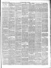 Chepstow Weekly Advertiser Saturday 13 January 1900 Page 3