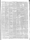Chepstow Weekly Advertiser Saturday 17 March 1900 Page 3