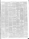 Chepstow Weekly Advertiser Saturday 31 March 1900 Page 3
