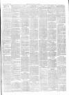 Chepstow Weekly Advertiser Saturday 14 April 1900 Page 3