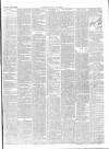 Chepstow Weekly Advertiser Saturday 16 June 1900 Page 3