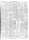 Chepstow Weekly Advertiser Saturday 30 June 1900 Page 3