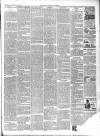 Chepstow Weekly Advertiser Saturday 12 January 1901 Page 3