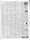 Chepstow Weekly Advertiser Saturday 18 January 1902 Page 3