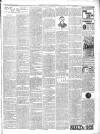 Chepstow Weekly Advertiser Saturday 15 March 1902 Page 3