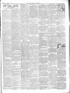 Chepstow Weekly Advertiser Saturday 02 August 1902 Page 3