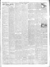 Chepstow Weekly Advertiser Saturday 16 August 1902 Page 3