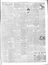 Chepstow Weekly Advertiser Saturday 11 October 1902 Page 3