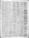 Chepstow Weekly Advertiser Saturday 02 January 1904 Page 3