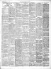 Chepstow Weekly Advertiser Saturday 06 February 1904 Page 3