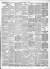 Chepstow Weekly Advertiser Saturday 26 March 1904 Page 3