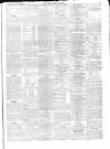 Chichester Express and West Sussex Journal Tuesday 29 August 1865 Page 3