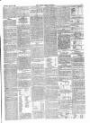 Chichester Express and West Sussex Journal Tuesday 07 April 1868 Page 3