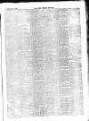 Chichester Express and West Sussex Journal Tuesday 08 February 1870 Page 3