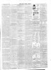 Chichester Express and West Sussex Journal Tuesday 02 June 1874 Page 3