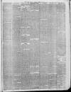 Chorley Standard and District Advertiser Saturday 20 February 1886 Page 3