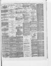 Chorley Standard and District Advertiser Saturday 13 November 1886 Page 3