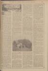 Sheffield Independent Wednesday 03 June 1914 Page 27