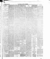 Dublin Weekly Nation Saturday 11 February 1899 Page 11