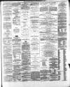 Londonderry Sentinel Saturday 04 May 1872 Page 3