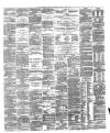 Londonderry Sentinel Saturday 02 June 1877 Page 3