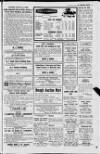 Londonderry Sentinel Wednesday 26 January 1966 Page 17