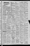 Londonderry Sentinel Wednesday 22 February 1967 Page 17