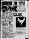 Londonderry Sentinel Wednesday 17 April 1968 Page 19