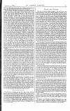 St James's Gazette Wednesday 07 January 1885 Page 7