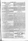 St James's Gazette Saturday 11 January 1902 Page 19