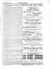 St James's Gazette Tuesday 15 November 1904 Page 19