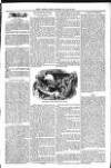 Ipswich Advertiser, or, Illustrated Monthly Miscellany Monday 01 March 1858 Page 3