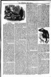 Ipswich Advertiser, or, Illustrated Monthly Miscellany Tuesday 01 March 1859 Page 7