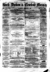 South Durham & Cleveland Mercury Wednesday 17 February 1869 Page 1