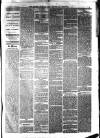 South Durham & Cleveland Mercury Wednesday 03 March 1869 Page 3
