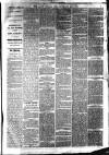South Durham & Cleveland Mercury Wednesday 17 March 1869 Page 3