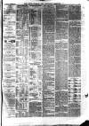 South Durham & Cleveland Mercury Saturday 20 March 1869 Page 3