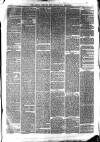 South Durham & Cleveland Mercury Saturday 20 March 1869 Page 7