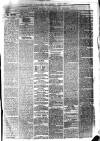 South Durham & Cleveland Mercury Wednesday 24 March 1869 Page 3