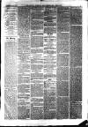 South Durham & Cleveland Mercury Wednesday 07 April 1869 Page 3