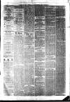 South Durham & Cleveland Mercury Wednesday 14 April 1869 Page 3