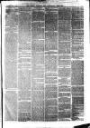 South Durham & Cleveland Mercury Saturday 17 April 1869 Page 7