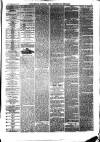 South Durham & Cleveland Mercury Saturday 24 April 1869 Page 5