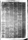 South Durham & Cleveland Mercury Wednesday 12 May 1869 Page 3